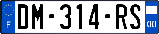 DM-314-RS