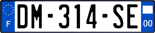 DM-314-SE