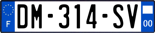 DM-314-SV