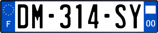 DM-314-SY