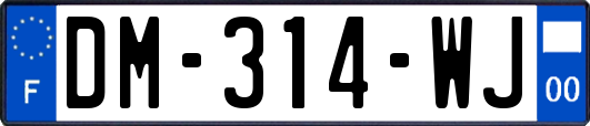 DM-314-WJ