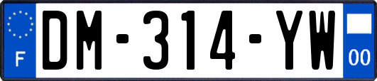 DM-314-YW