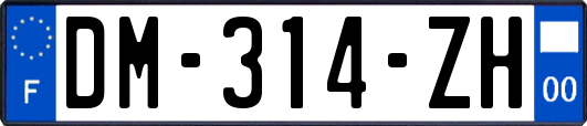 DM-314-ZH