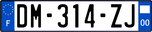 DM-314-ZJ