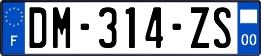 DM-314-ZS