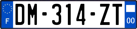 DM-314-ZT