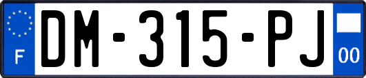 DM-315-PJ
