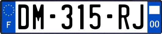 DM-315-RJ