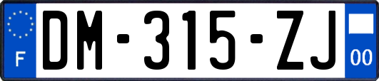 DM-315-ZJ