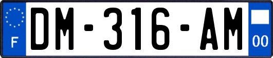 DM-316-AM