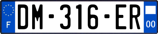 DM-316-ER