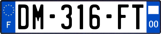 DM-316-FT