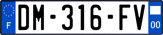 DM-316-FV