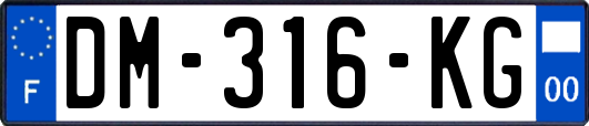 DM-316-KG