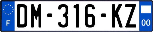 DM-316-KZ