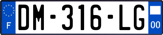 DM-316-LG