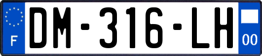 DM-316-LH
