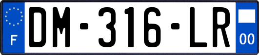 DM-316-LR