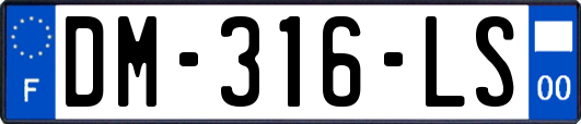 DM-316-LS