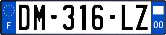 DM-316-LZ