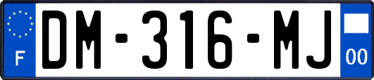 DM-316-MJ