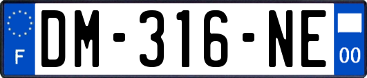 DM-316-NE