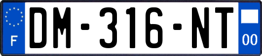 DM-316-NT