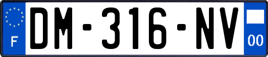 DM-316-NV