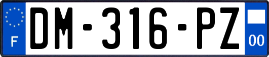 DM-316-PZ