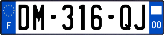 DM-316-QJ
