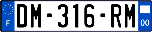 DM-316-RM