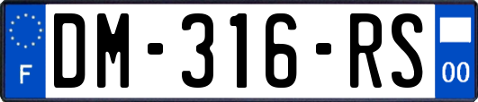 DM-316-RS