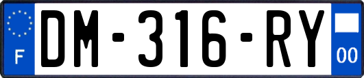 DM-316-RY