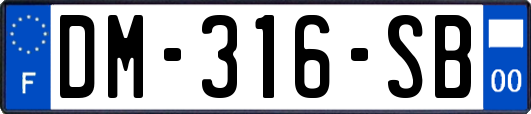 DM-316-SB