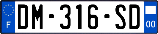 DM-316-SD