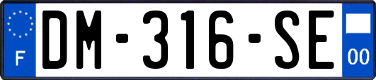 DM-316-SE