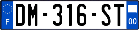 DM-316-ST