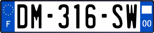 DM-316-SW