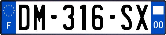 DM-316-SX