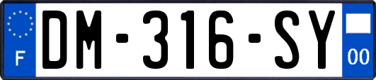 DM-316-SY