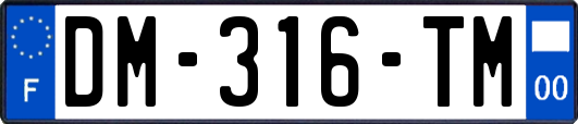 DM-316-TM