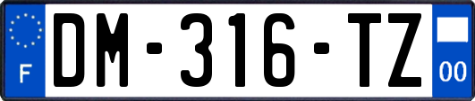 DM-316-TZ
