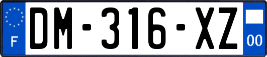 DM-316-XZ