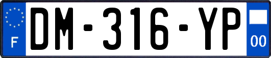 DM-316-YP