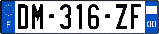 DM-316-ZF