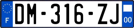 DM-316-ZJ