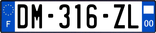 DM-316-ZL