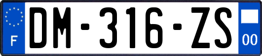 DM-316-ZS