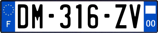 DM-316-ZV