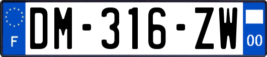 DM-316-ZW